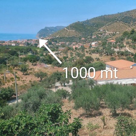 Tenuta Marga Agnone Cilento エクステリア 写真