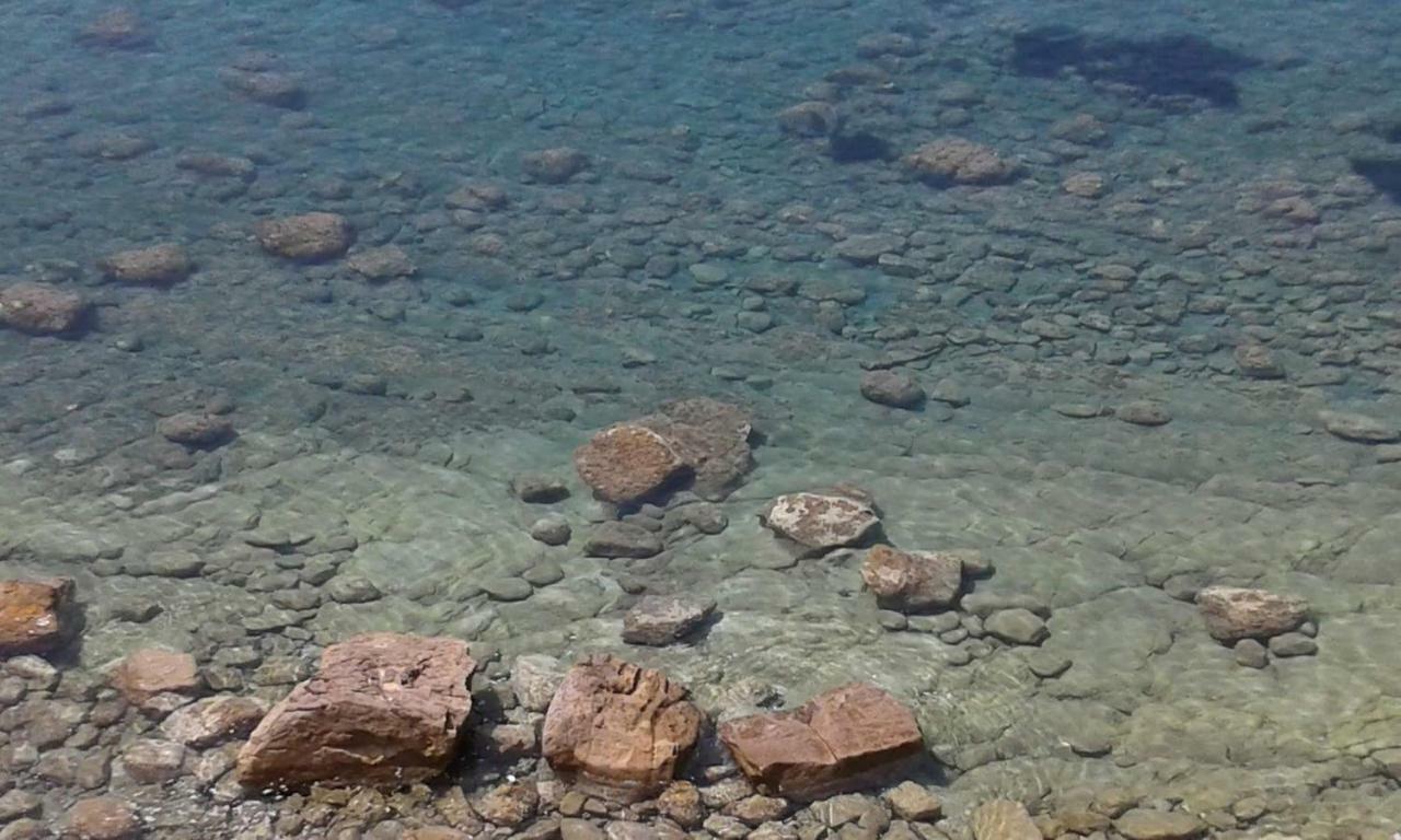 Tenuta Marga Agnone Cilento エクステリア 写真
